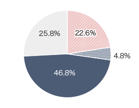 身体障がい 22.6% 知的障がい 4.8% 精神障がい 46.8% 発達障がい 25.8%